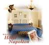 Hotel Napoleon 